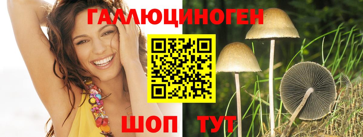 Черняховск  где купить   Галлюциногенные грибы Magic Shrooms  Вход с VPN  Псилоцибиновые грибы мицелий 